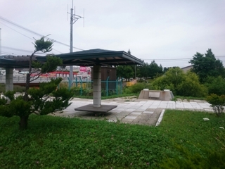 20170812_051809.jpg