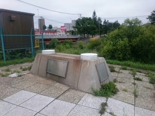 20170812_051827.jpg