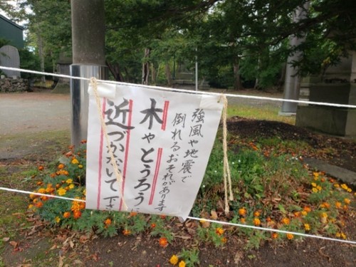 20181012_184642.jpg